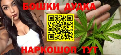 прущие крисы Малгобек