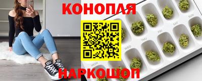 прущие крисы Малгобек