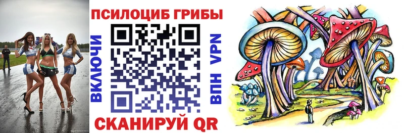 даркнет сайт  Зеленогорск  Псилоцибиновые грибы Psilocybe 