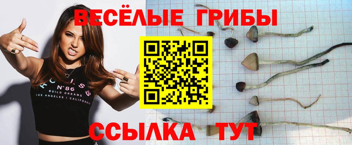 дарнет шоп  Галлюциногенные грибы прущие грибы  Зеленогорск  Вход с VPN  Галлюциногенные грибы MAGIC MUSHROOMS 