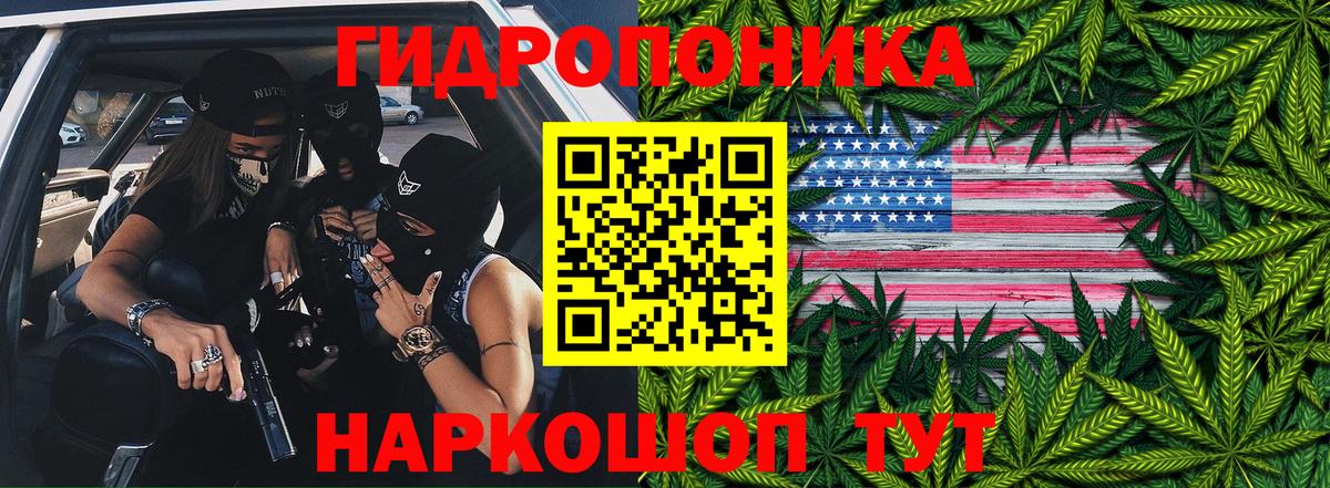 Бошки марихуана конопля  Бошки марихуана VHQ  Зеленогорск  Вход с VPN  Бошки Шишки VHQ 